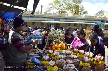 Chamundi Hill, Mysore_DSC4658_H600